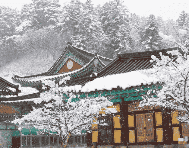 Tour Korea 2024 6D Super Sale Winter & Blossom Korea Feb - Mar 2024 By Ga (wh51) 1