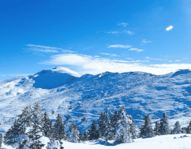 Tour Turkey 10D 2026 Special Uludag Limited Seat 1
