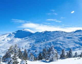 Tour Turkey 10D 2026 Special Uludag Limited Seat