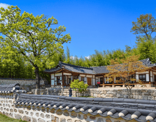 Tour Korea 2025 Shocking Sale Korea 6D By Premium Direct Flight Dep : 22, 24, 28, 30 April 2025 (wh51 - T5)