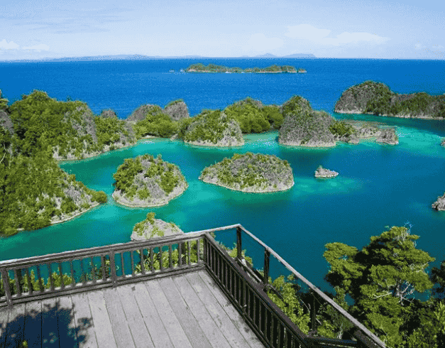 5D3N WONDERFULL RAJA AMPAT + PIAYNEMO JAN-MAR 2022 1