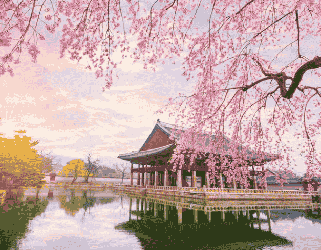 Beautiful New Korea 6D (school Holiday) By Ga & Oz 1