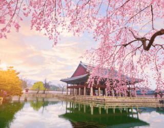 Beautiful New Korea 6D (school Holiday) By Ga & Oz