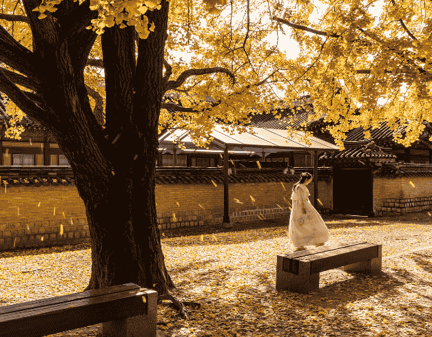 Tour Korea 2025 Winter Korea Busan Everland + Brunei (nami Island – Busan – Jeonju – Suwon - Seoul - Brunei Darussalam) Dep 4 Jan'25 By Royal Brunei (wh05/t4)  1