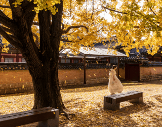 Tour Korea 2025 Winter Korea Busan Everland + Brunei (nami Island – Busan – Jeonju – Suwon - Seoul - Brunei Darussalam) Dep 4 Jan'25 By Royal Brunei (wh05/t4) 