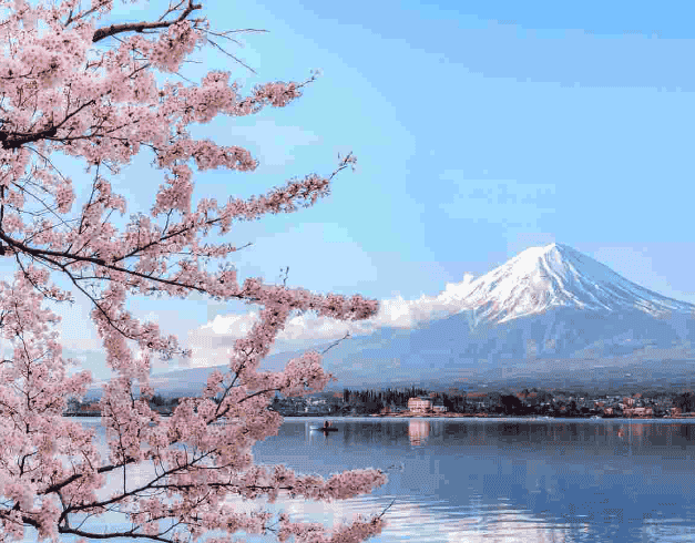Tour Korea Peak Blossom Korea 6D By Singapore Airlines *5STAR Airlines Versi Skytrax (nami Island– Mt Sorak - Seoul) Dep : 2 Apr 2024 (wh51) 1