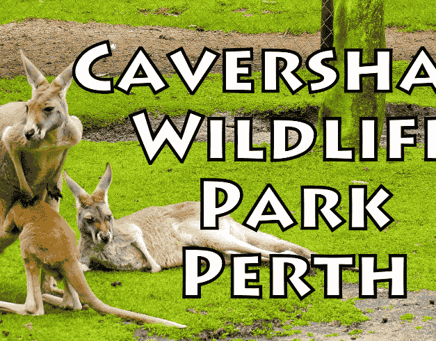 4D3N Exciting Perth Dep: 25 Jul/1,8,15,22 Aug/5,11,19,26 Sep/3,10,17,24 Oct/7,14,20 Nov/5,12 Dec (wh06) 1