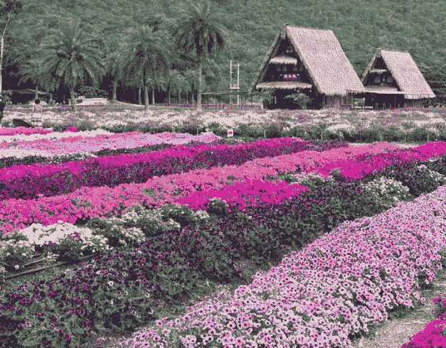 Tour Thailand 2026 2 Can Go 5D Bangkok Pattaya Khao Yai 1