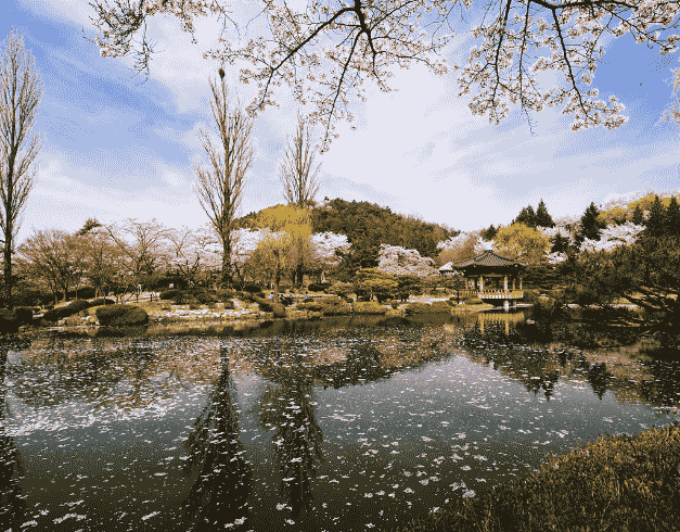 5 Hari 3 Malam Spotlight Korea Dep 05JUL/19 Aug/26SEP (wh27) 1