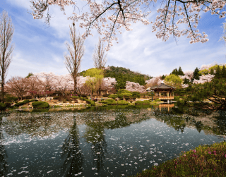5 Hari 3 Malam Spotlight Korea Dep 05JUL/19 Aug/26SEP (wh27)
