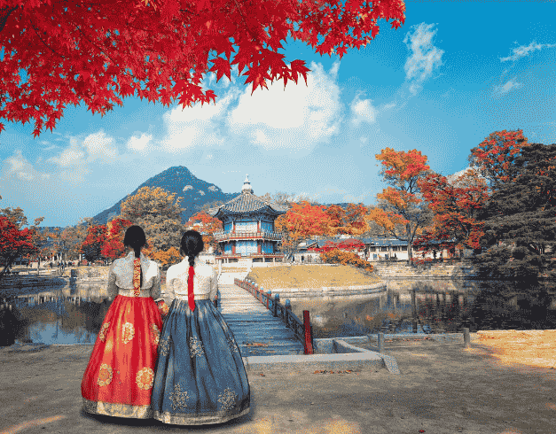 Tour Korea 2025 6D Summer Sale Korea 1