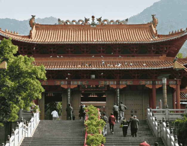 Tour Hongkong 2025 5D Wonderful Hongkong Shenzhen 2 Can Go 1