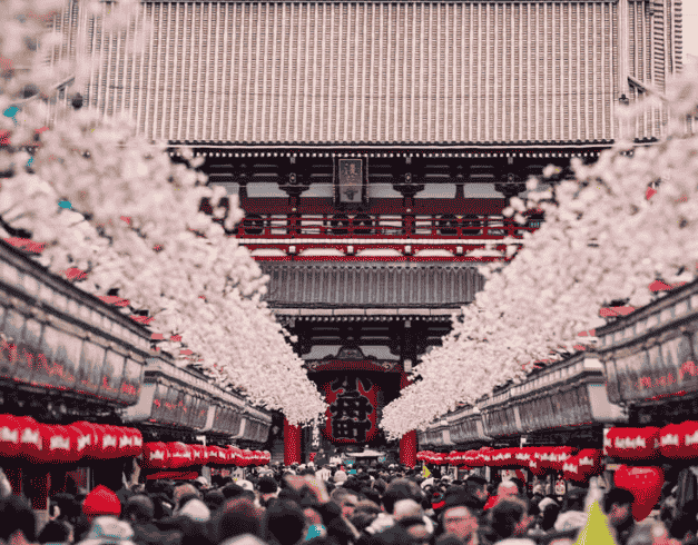 Tour Jepang 2026 6D School Holiday Tokyo Oishi + Disneyland 1