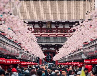 Tour Jepang 2026 6D School Holiday Tokyo Oishi + Disneyland