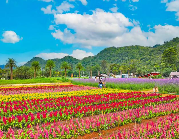 Tour Thailand Land Tour Only 5D4N Bangkok Pattaya Khao Yai 1