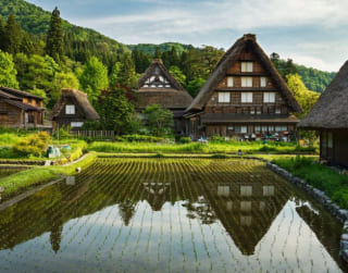 Private Tour 6 Can Go 6D5N Golden Route Osaka Kyoto Shirakawago + Mt Fuji
