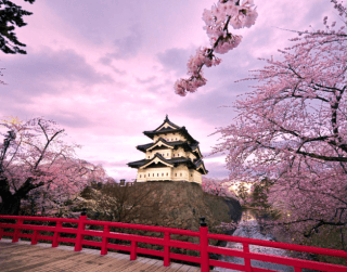 8D Fantastic Golden Route End Year Japan + Kuala Lumpur Dep 27 Dec (tokyo – Kyoto – Osaka – Kuala Lumpur) By Malaysia Airlines (wh51/t4)