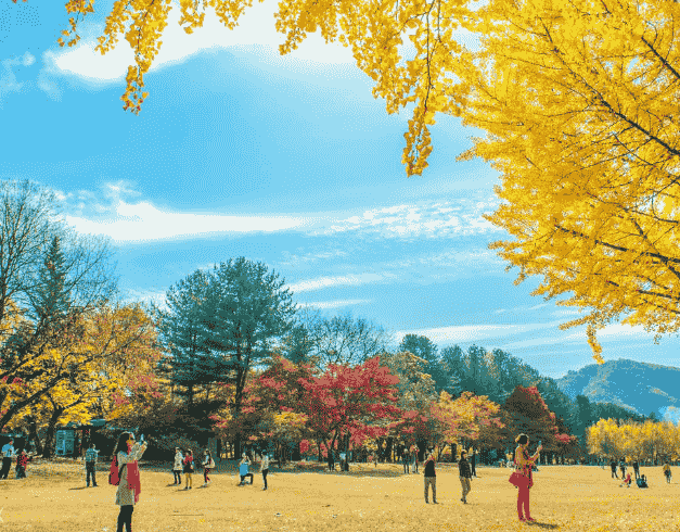 5 Days Halal Tour Korea (ansan - Nami Island - Seoul) By Ga Dep Aug - Oct 2019 (wh51) 1