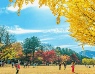 5 Days Halal Tour Korea (ansan - Nami Island - Seoul) By Ga Dep Aug - Oct 2019 (wh51)