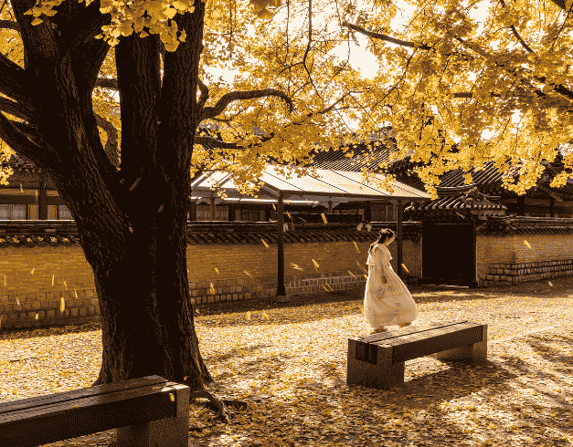 Paket Tour Korea 7D Special School Holiday Busan Seoul With Lotte Theme Park Jun - Jul 2025 By Sq (wh51-t3) 1