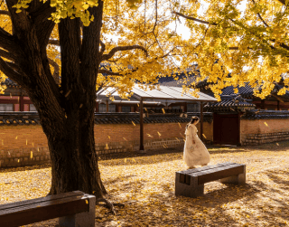 Paket Tour Korea 7D Special School Holiday Busan Seoul With Lotte Theme Park Jun - Jul 2025 By Sq (wh51-t3)