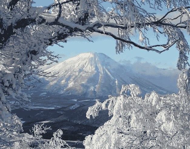 Tour Japan 8D 2025 New Year Golden Route With Tds 1
