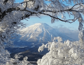 Tour Japan 8D 2025 New Year Golden Route With Tds