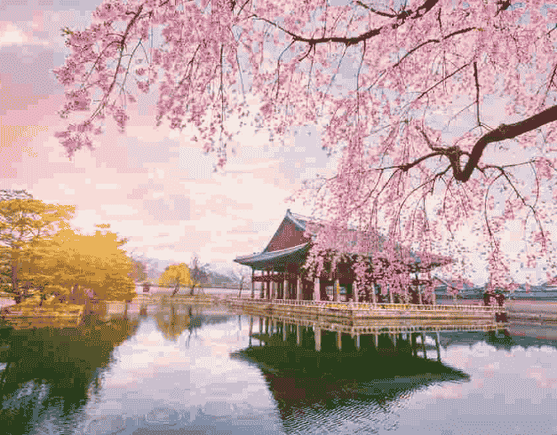 Paket Tour Korea 6D Crazy Sale Cherry Blossom Korea On 1 Apr 2024 By Batik Air (wh51) 1