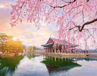 Paket Tour Korea 6D Crazy Sale Cherry Blossom Korea On 1 Apr 2024 By Batik Air (wh51)