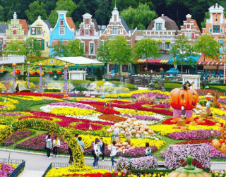 (WH48) 7D SPRING KOREA TOUR Dep : 23 APR'19 By : Asiana Airlines