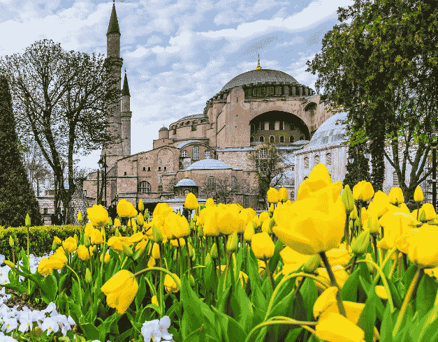 10D CONSORTIUM BEST OF TULIPA TURKEY + BOSPHORUS CRUISE by EK Dep : 17 Apr 2023 (wh01) 1