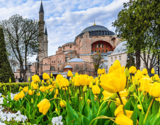 10D CONSORTIUM BEST OF TULIPA TURKEY + BOSPHORUS CRUISE by EK Dep : 17 Apr 2023 (wh01)