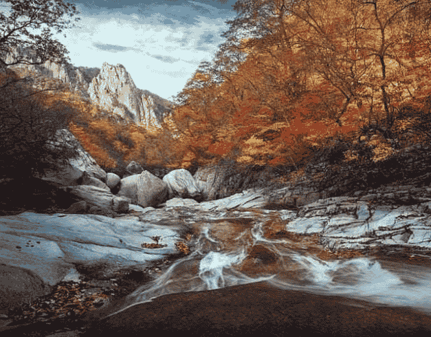 Tour Korea 2024 6D Beautiful New Korea Jan - Oct 2024 By Oz , Ga. Ke, Mh (wh51-t2) 1