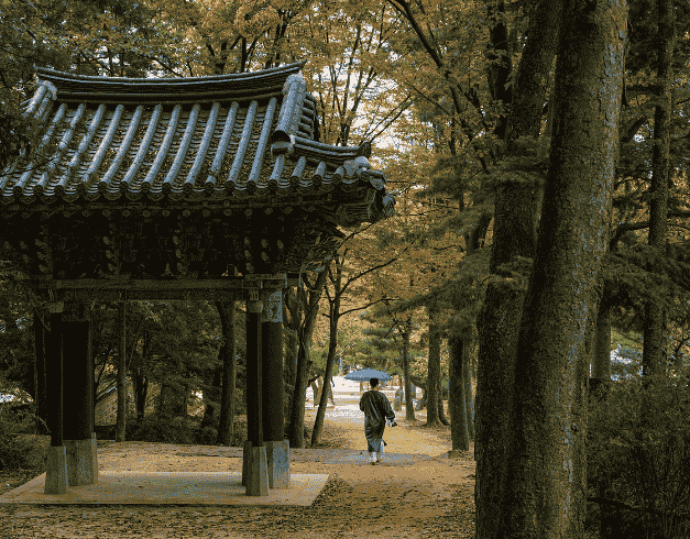 Tour Korea 2025 6 Hari Halal Tour Korea By Garuda Indonesia (ansan - Nami Island - Seoul) Periode 16 Jan'25 , 7 Feb'25 , 15 Apr'25 (wh51/t4)  1