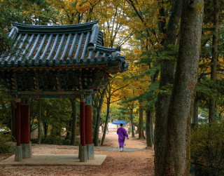 Tour Korea 2025 6 Hari Halal Tour Korea By Garuda Indonesia (ansan - Nami Island - Seoul) Periode 16 Jan'25 , 7 Feb'25 , 15 Apr'25 (wh51/t4) 