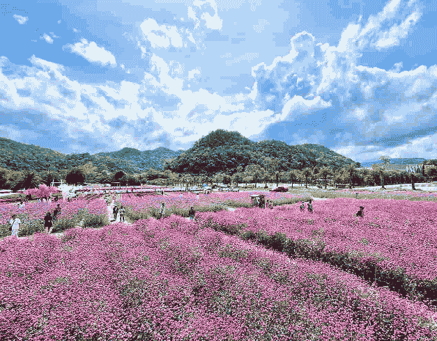 Tour Thailand 2024 4D3N Bangkok & Khaoyai  Periode Keberangkatan : Now – Oct 2024   Free Free Pb Valley, Primo Piazza, Suwan Corn Farm, Icon Siam, Wat Arun (wh60) 1
