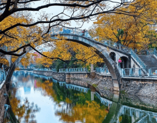 8D Best Saver Kunming Dali Lijiang Jianchuan