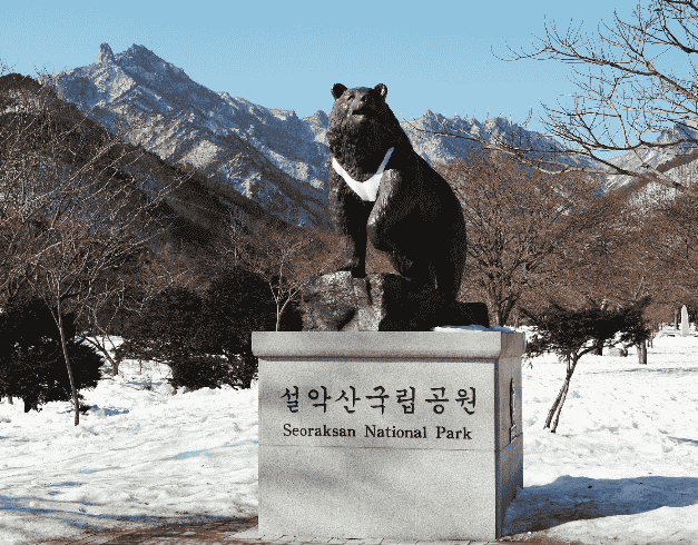 6D Christmas And New Year Korea By Malaysia Airline Dep 21,22,28,29,30 Dec 2022 (wh51) 1