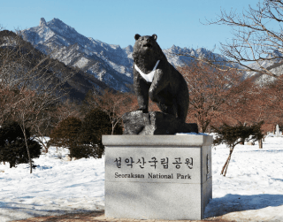 6D Christmas And New Year Korea By Malaysia Airline Dep 21,22,28,29,30 Dec 2022 (wh51)