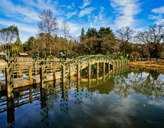 Tour Korea Best Of New Winter Korea 7D  By Singapore Airlines Airlines Of Skytrax (nami Island– Mt Sorak - Seoul) Dep : 6,11,19 Jan'24 Start From Sub (wh51)