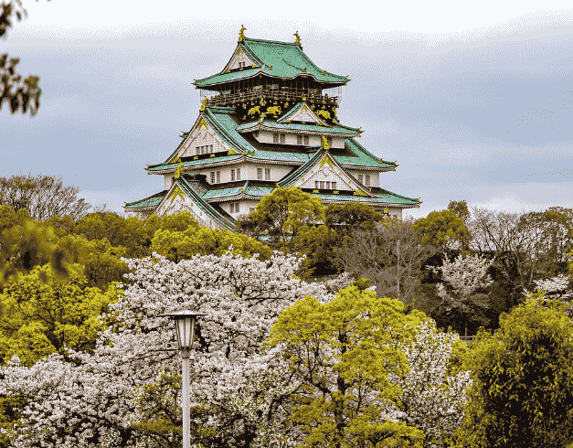 Lebaran 2025 7D Sakura After Lebaran Golden Route Japan   With Tokyo Disney Sea+universal Studio  By Malaysia Airlines Dep : 03 Apr'25  (wh51) 1