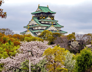 Lebaran 2025 7D Sakura After Lebaran Golden Route Japan   With Tokyo Disney Sea+universal Studio  By Malaysia Airlines Dep : 03 Apr'25  (wh51)