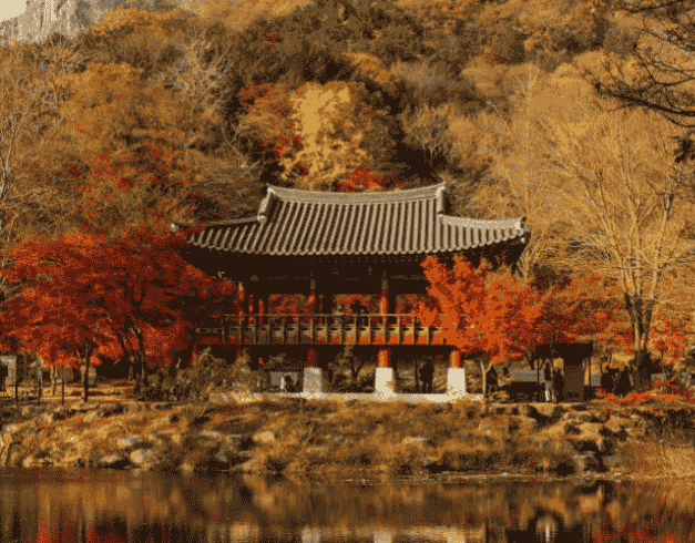 Paket Tour Korea 5D Crazy Sale  1