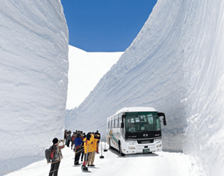 (wh38) 6D4N Wonderful Japan Alpine Dep : 14 Apr / 10 May 2019 By Ga