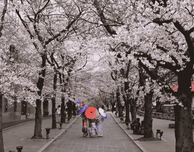(TP) 7D5N GOLDEN ROUTE LEBARAN HIGHLIGHT : Tokyo, Sakura Hanami, Osaka Castle, Mt. Fuji, Kyoto, Nara, Disneyland Periode : 01 - 07 Mei 2023 1