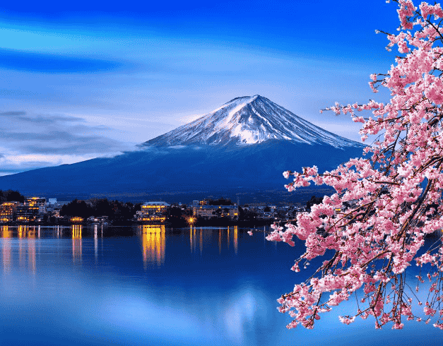 8D6N Japan Golden Route Disneysea + Hongkong* (tokyo- Disneysea-kawaguchi-mt.fuji-toyohashi-osaka-hongkong) By Cathay Pacific (wh05) 1