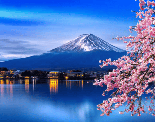 8D6N Japan Golden Route Disneysea + Hongkong* (tokyo- Disneysea-kawaguchi-mt.fuji-toyohashi-osaka-hongkong) By Cathay Pacific (wh05)