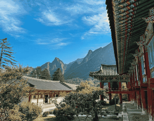 7D After New Year Korea By Singapore Airlnes Premium Airlines (nami Island – Sorak - Seoul) Dep Des'24 (wh51) 1