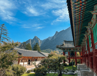 7D After New Year Korea By Singapore Airlnes Premium Airlines (nami Island – Sorak - Seoul) Dep Des'24 (wh51)