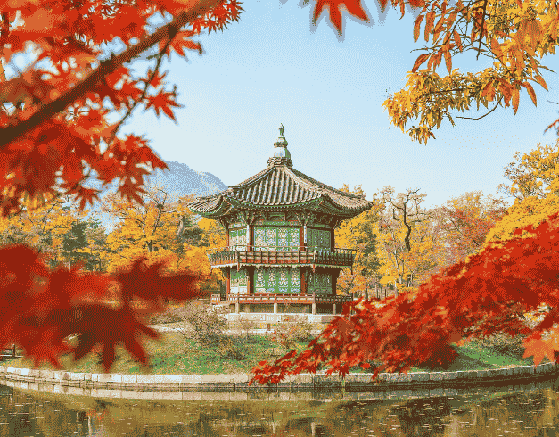 Tour Korea New Year 7D Memorable Year End Ski View Korea +everland Theme Park +free Sight Seeing Kuala Lumpur  By Malaysia Airlines Dep 24,26,28 & 29 Des'24 (wh51/t4) 1